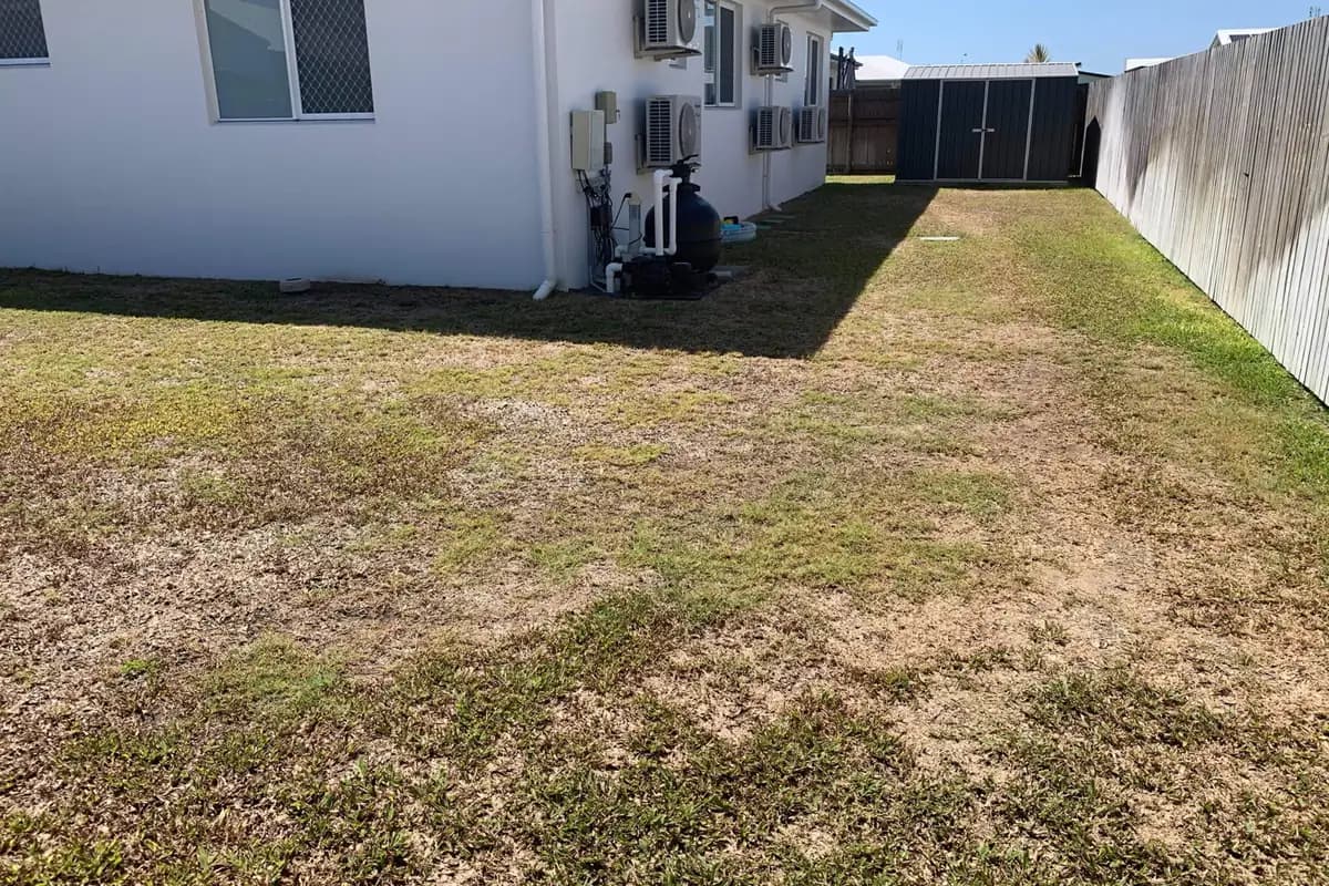 The same Townsville lawn before 6Foot worked on it — patchy and thin