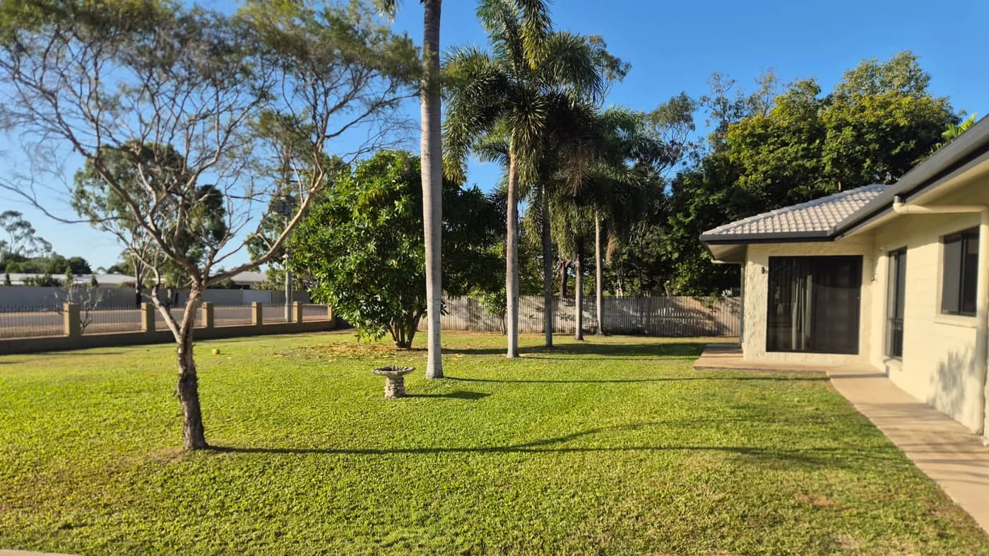 A wide, healthy green lawn with palms and a gum tree along the fence line, and a low-set house to one side