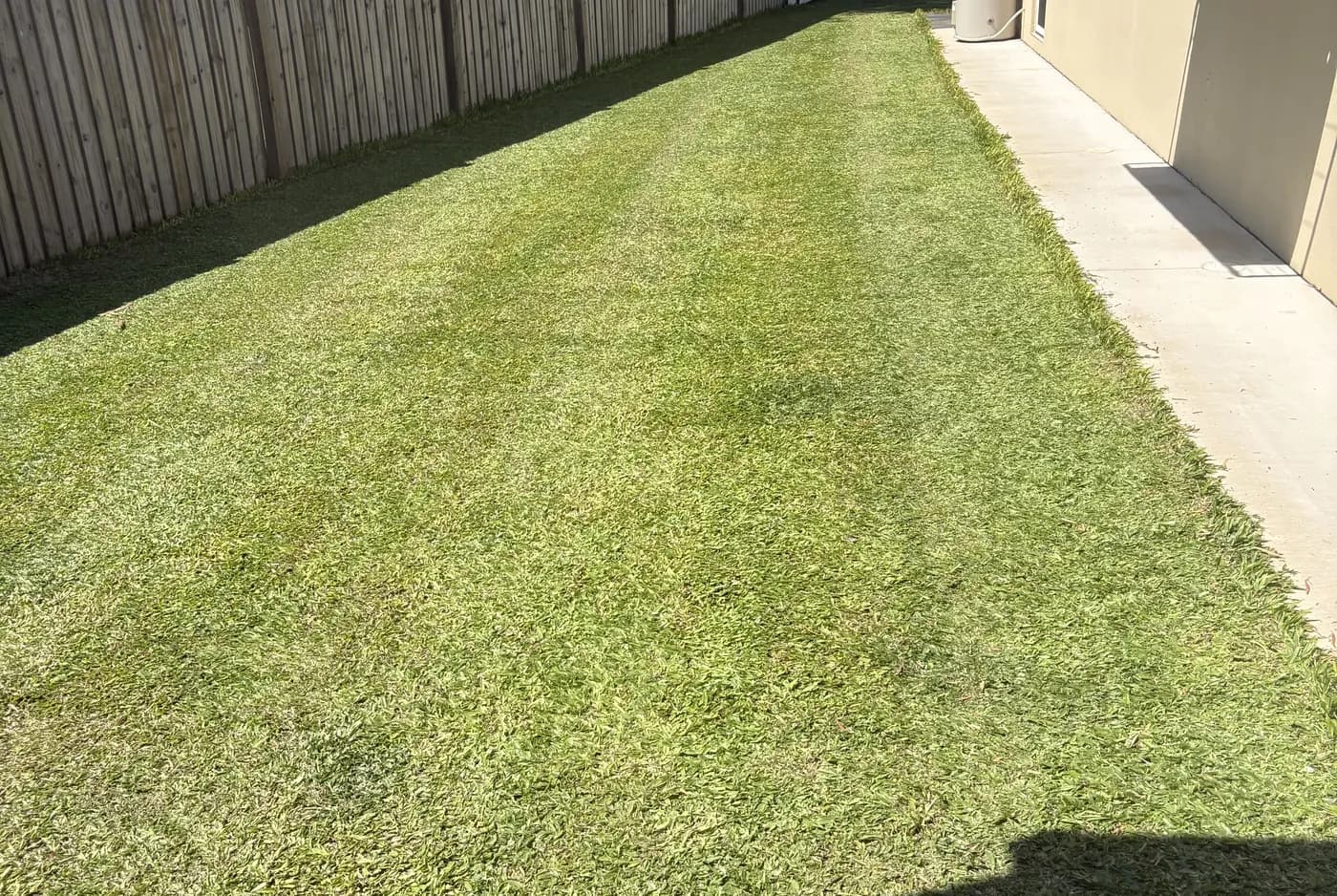 A freshly mown, deep green couch lawn running down the side of a house